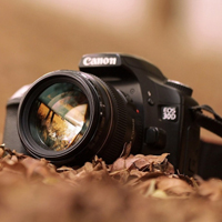 努力努力再努li